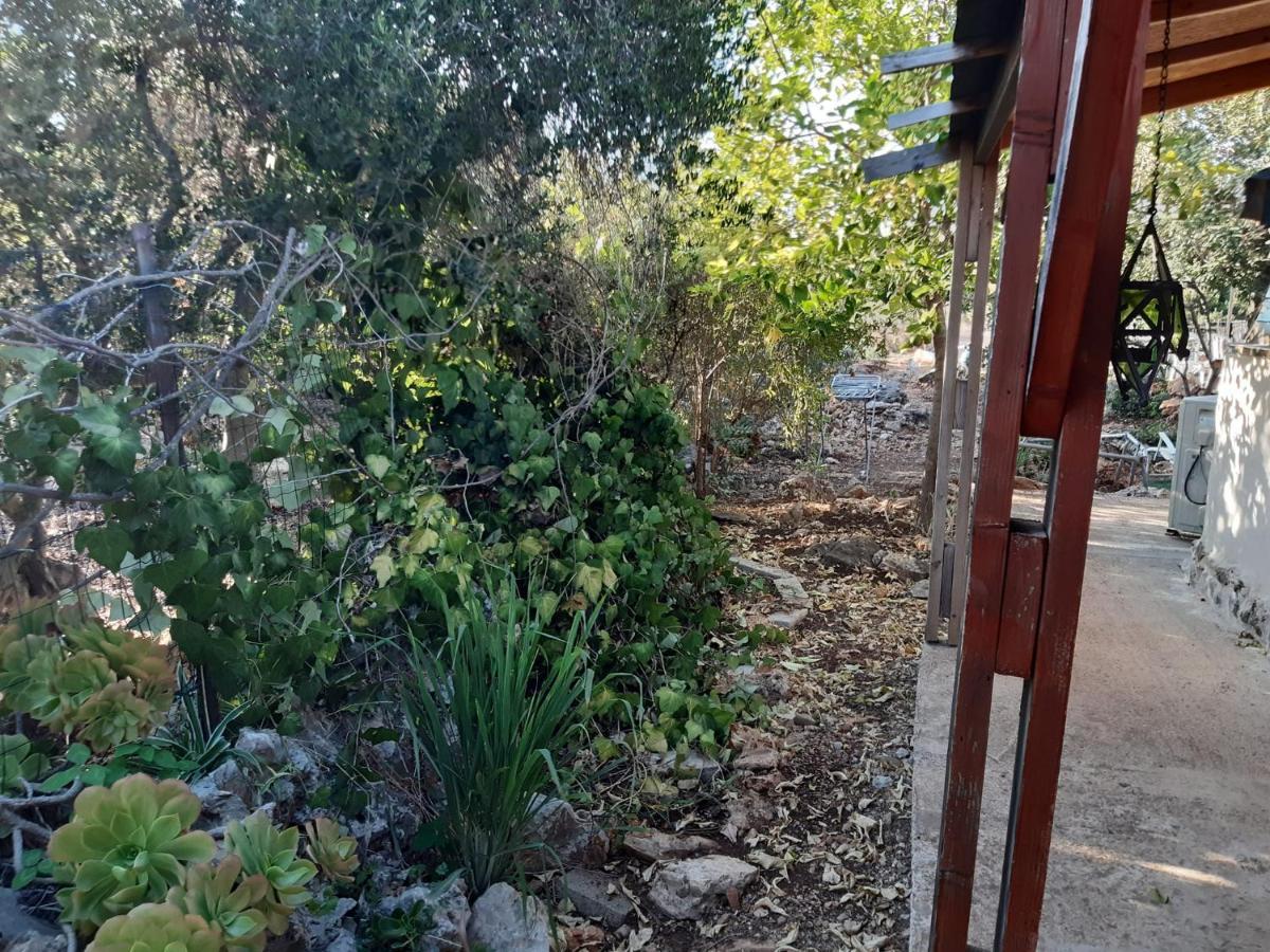 בקתת עץ בחורש במנות - דום גיאודזי - Wooden Cabin In Manot Luaran gambar