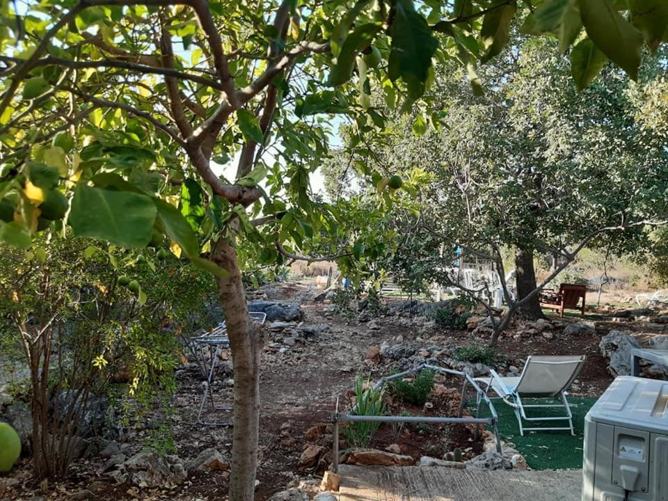 בקתת עץ בחורש במנות - דום גיאודזי - Wooden Cabin In Manot Luaran gambar