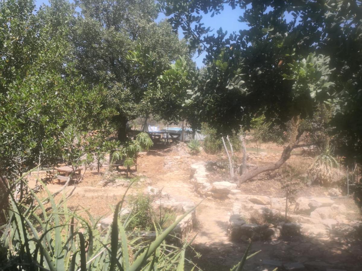 בקתת עץ בחורש במנות - דום גיאודזי - Wooden Cabin In Manot Luaran gambar