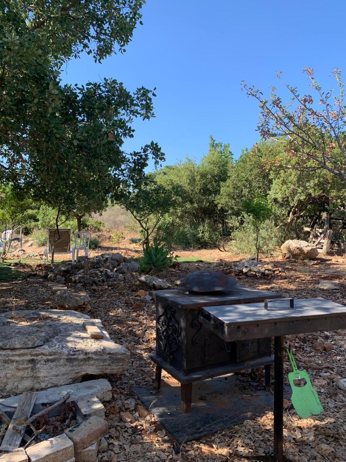 בקתת עץ בחורש במנות - דום גיאודזי - Wooden Cabin In Manot Luaran gambar